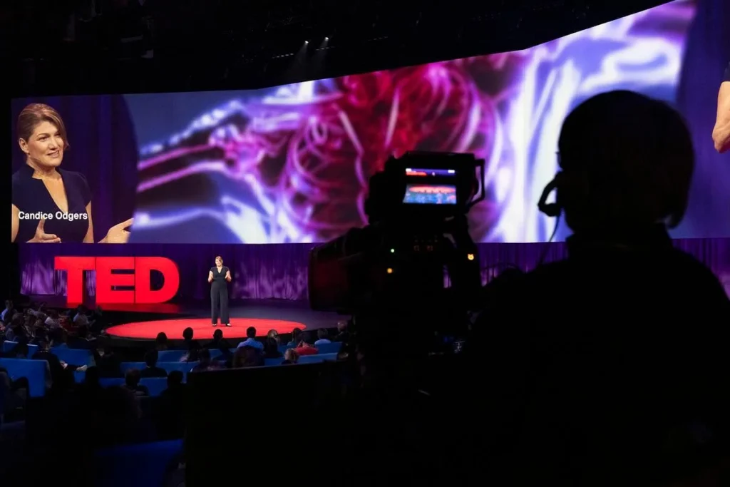 Candice Odgers at TED