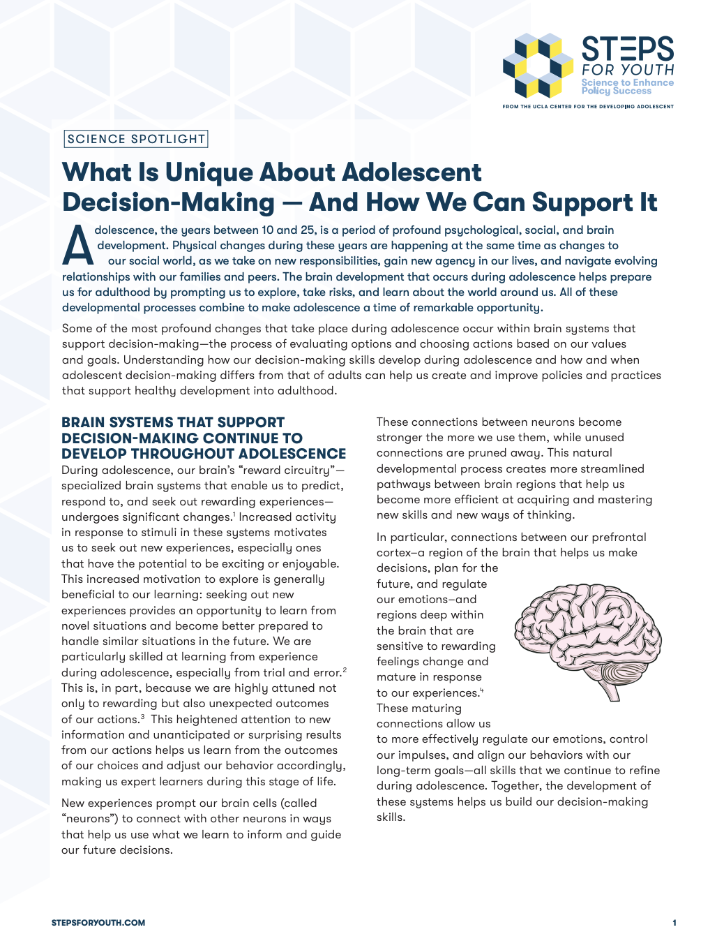 What Is Unique About Adolescent Decision-Making — And How We Can Support It