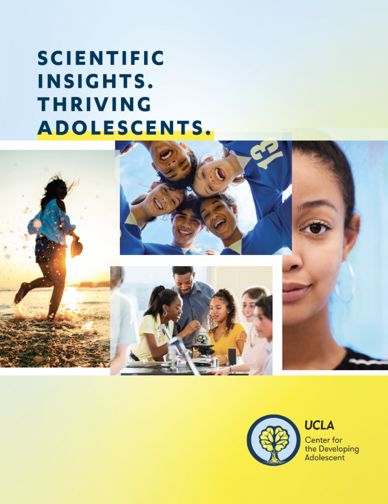 CDA Look Book Cover